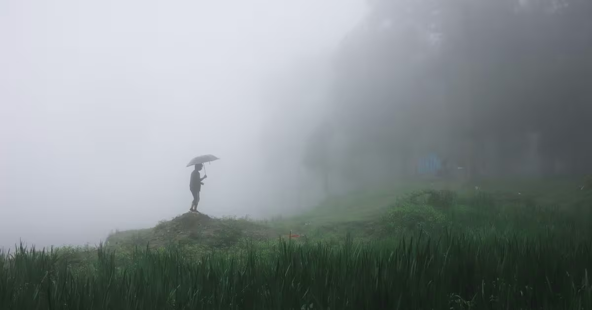 South India in Monsoon: Nature’s Grandest Symphony