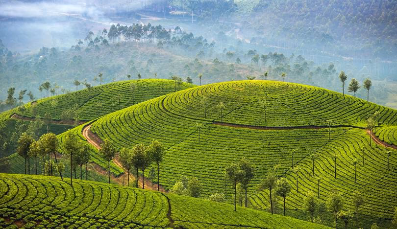 Amazing Kerala Tour