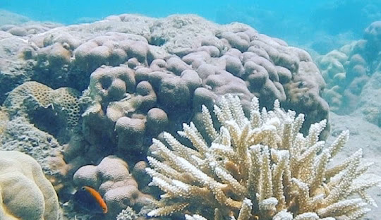Andaman Aqua Escape
