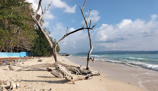 Andaman Calls: Seven Nights of Salt, Light, and Silence