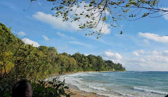 Andaman Honeymoon Delight