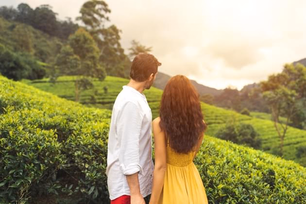Honeymoon In Kerala